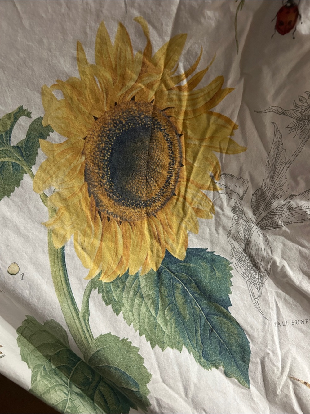 Pottery Barn Cream Sunflower & Wildflower Duvet Cover - Picture 4 of 7